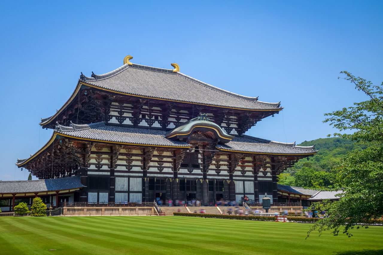 サンプル画像